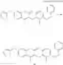 Fig. 449 - p27 protein inducer