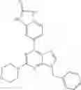 Fig. 124 - 2-MORPHOLINYLPURINES AS INHIBITORS OF PI3K