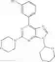 Fig. 141 - 2-MORPHOLINYLPURINES AS INHIBITORS OF PI3K
