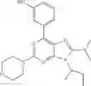 Fig. 205 - 2-MORPHOLINYLPURINES AS INHIBITORS OF PI3K