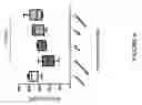 Fig. 09 - Compositions and methods for treating fibroproliferative disorders