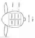 Fig. 04 - Nucleic acid external skin formulation