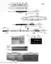 Fig. 02 - SIRTUIN BASED METHODS AND COMPOSITIONS FOR TREATING BETA-CATENIN-RELATED CONDITIONS