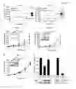 Fig. 04 - SIRTUIN BASED METHODS AND COMPOSITIONS FOR TREATING BETA-CATENIN-RELATED CONDITIONS