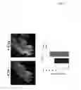 Fig. 06 - SIRTUIN BASED METHODS AND COMPOSITIONS FOR TREATING BETA-CATENIN-RELATED CONDITIONS