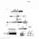 Fig. 07 - SIRTUIN BASED METHODS AND COMPOSITIONS FOR TREATING BETA-CATENIN-RELATED CONDITIONS