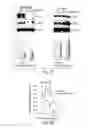 Fig. 06 - METHODS FOR TREATING STRESS INDUCED EMOTIONAL DISORDERS