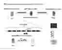 Fig. 01 - Transcription factor decoys, compositions and methods
