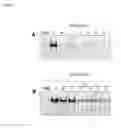 Fig. 03 - OLIGONUCLEOTIDE-BASED COMPOUNDS AS INHIBITORS OF TOLL-LIKE RECEPTORS