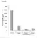 Fig. 08 - OLIGONUCLEOTIDE-BASED COMPOUNDS AS INHIBITORS OF TOLL-LIKE RECEPTORS