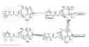 Fig. 01 - Biologically active taxane analogs and methods of treatment
