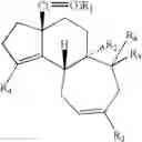 Fig. 12 - Synthesis of scabronines and analogues thereof