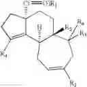 Fig. 13 - Synthesis of scabronines and analogues thereof