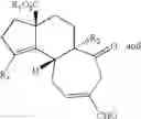Fig. 28 - Synthesis of scabronines and analogues thereof
