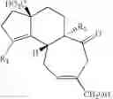 Fig. 31 - Synthesis of scabronines and analogues thereof