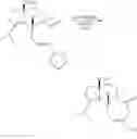 Fig. 50 - Synthesis of scabronines and analogues thereof