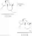Fig. 53 - Synthesis of scabronines and analogues thereof
