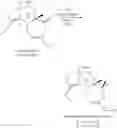 Fig. 56 - Synthesis of scabronines and analogues thereof