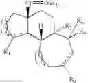 Fig. 61 - Synthesis of scabronines and analogues thereof
