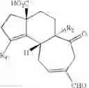 Fig. 84 - Synthesis of scabronines and analogues thereof