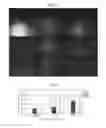Fig. 03 - COSMETIC COMPOSITION COMPRISING VITAMIN U AS ACTIVE INGREDIENT FOR HEALING WOUNDS AND REDUCING WRINKLES