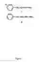 Fig. 02 - β-phenylethylidenehydrazine derivatives