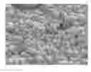 Fig. 01 - DIMENSIONALLY STABLE, SHAPED ARTICLES COMPRISED OF DRIED, AGGREGATED, WATER-SWELLABLE HYDROGEL MICROSPHERES AND METHOD OF MAKING SAME