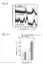 Fig. 06 - MATERIAL FOR FILLING BONE DEFECTS AND PRODUCTION METHOD THEREOF
