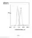 Fig. 04 - Preparation of polyphosphazene microspheres