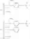 Fig. 22 - Preparation of activating supports