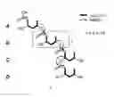Fig. 01 - Polymeric Bioplastics