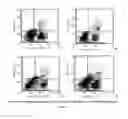 Fig. 08 - RECOMBINANT GANODERMA LUCIDIUM IMMUNOMODULATORY PROTEIN (rLZ-8) AND USES THEREOF