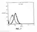 Fig. 08 - APO-2 receptor polypeptides
