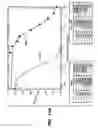 Fig. 16 - APO-2 receptor polypeptides