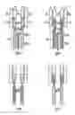 Fig. 01 - Recombinant antibody composition