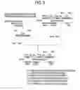 Fig. 04 - Recombinant antibody composition