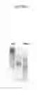 Fig. 06 - METHOD FOR PREPARING DNA FRAGMENT HAVING STICKY END