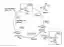 Fig. 01 - AUTOMATED SOLUTION-PHASE ITERATIVE SYNTHESIS