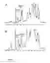 Fig. 02 - METHOD OF PROCESSING BETA-GLUCAN
