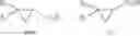 Fig. 41 - Ruthenium Catalysts and Uses Thereof