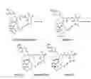 Fig. 01 - Methods of manufacturing crystalline forms of rapamycin analogs