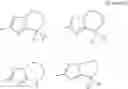 Fig. 09 - Polycyclic compound