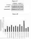 Fig. 03 - Compounds and Compositions for Modulating Lipid Levels and Methods of Preparing Same