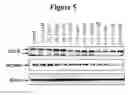 Fig. 06 - Compounds and Compositions for Modulating Lipid Levels and Methods of Preparing Same