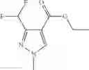 Fig. 19 - Method for the regioselective synthesis of 1-alky1-3-haloalkyl-pyrazole-4-carboxylic acid derivatives
