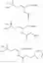 Fig. 09 - Process for producing phosphorus-containing dehydroamino acid