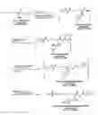 Fig. 01 - ABUSE-RESISTANT AMPHETAMINE PRODRUGS