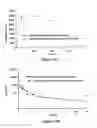 Fig. 33 - ABUSE-RESISTANT AMPHETAMINE PRODRUGS