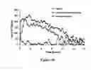 Fig. 45 - ABUSE-RESISTANT AMPHETAMINE PRODRUGS