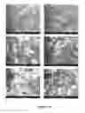 Fig. 75 - ABUSE-RESISTANT AMPHETAMINE PRODRUGS
